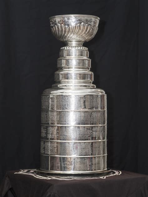 Stanley Cup: Embracing My New Identity 